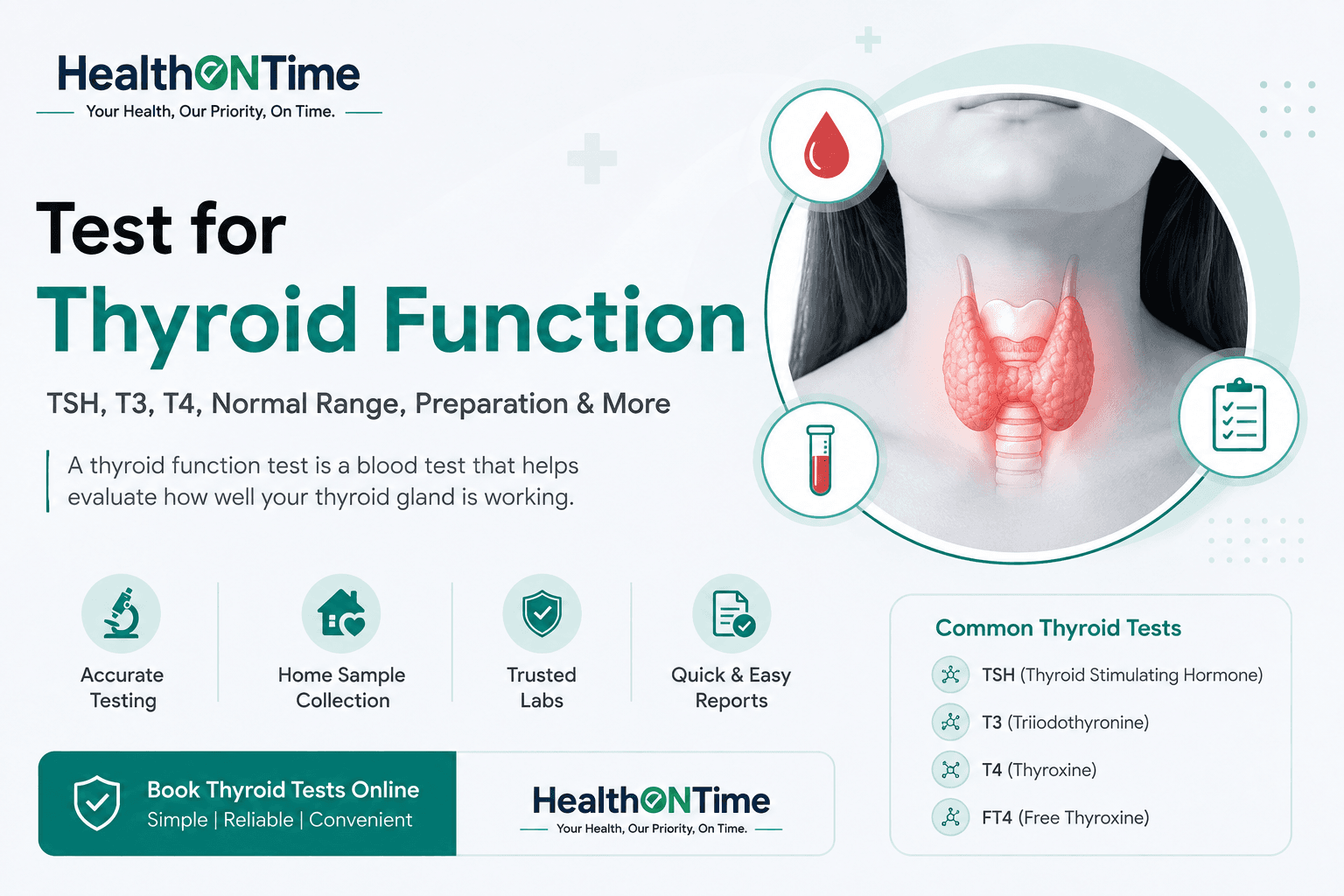 Test for Thyroid Function: TSH, T3, T4, Normal Range, Preparation & More