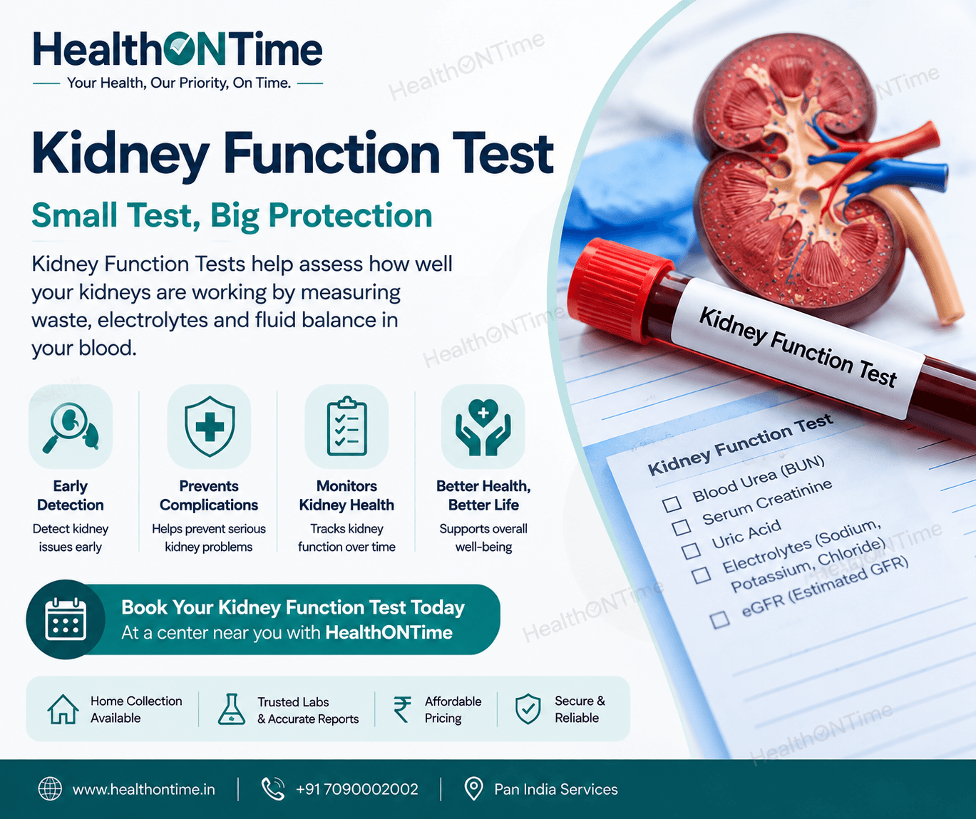 Kidney Function Test (KFT): What It Checks, When You Need It & How to Prepare